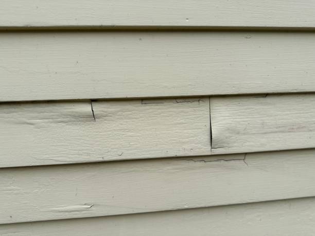 Professional Siding Installation in Renovo, PA